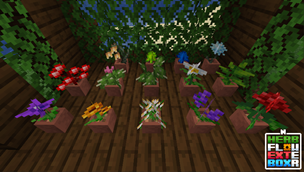 Flowers in pots