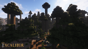 Dark Oak forest with Complementary Unbound shaders