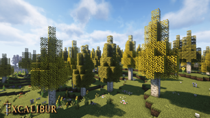 Yellow Birch forest with Complementary Unbound shaders