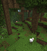 Deciduos Forest with leaf litters Regions Unexplored
