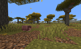 Armadillo in a Flowering Savanna Windswept