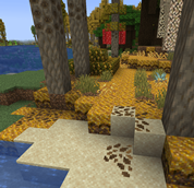 Aspen Parkland with leaf litters Atmospheric