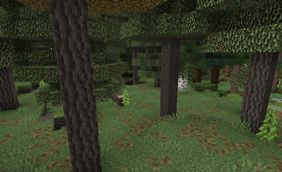 Boreal Taiga Regions Unexplored