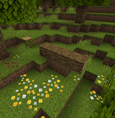Woodland with several features Biomes O' Plenty