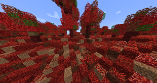 Flesh Infected Area starts to rot