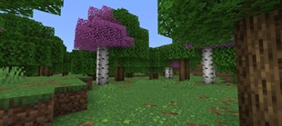 Screenshot 20