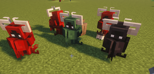 image5.png