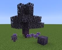 image4.png