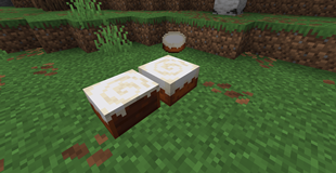 Cake's