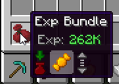 Exp Bundle