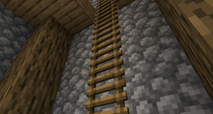 3DLadders.png