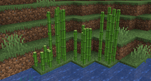3DSugarcane.png