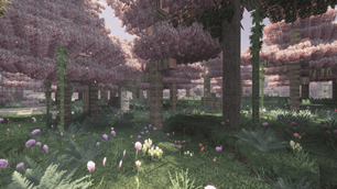 Cherry grove with flowers