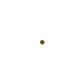 Coin1.png