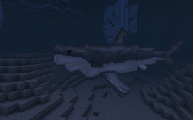 Megalodon