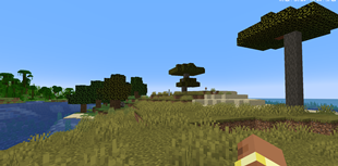 Screenshot 2026-01-01 150521.png