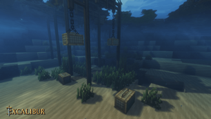 Set up Your Fish Traps