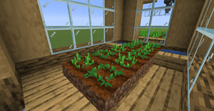Greenhouse.png