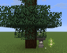 Trees.png