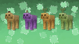 Screenshot 21
