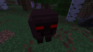 Possessed Sheep