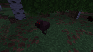 Possessed Chicken