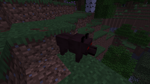 Possessed Wolf