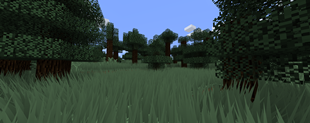 grass2.png