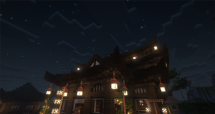 Ninja on the roof!