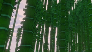 Enhanced Bamboo Forest