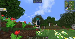 Model in 3th person