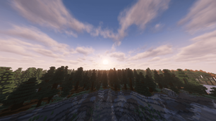 Forest Scenery