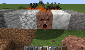 infested_blocks_preview.png