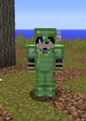 Armor Worn