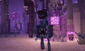 Hollowseer