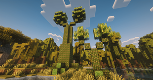 Giant Sigillaria and Sigillaria