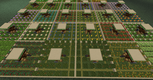 Foraging stations 1.2