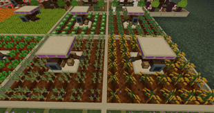 Farmer's delight crops