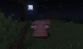 Screenshot 2026-01-06 053108.png