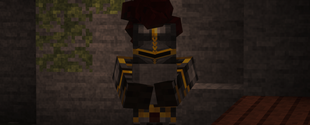 img4.png