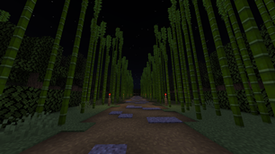 Bamboo forest