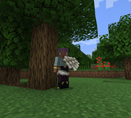 Bone shield and Bone sword