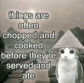 ChopandCook.webp