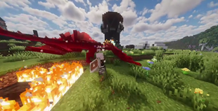 dragon fight