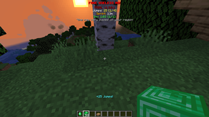 2026-01-07_00.02.19.png