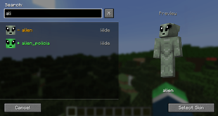 Select Skin Menu