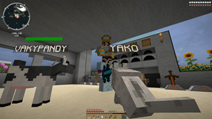 VAKYPANDY Y YAKO