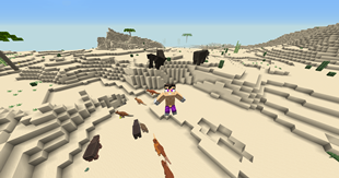 DESIERTO