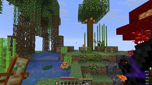 Enviroment 1