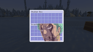 Shulker Box
